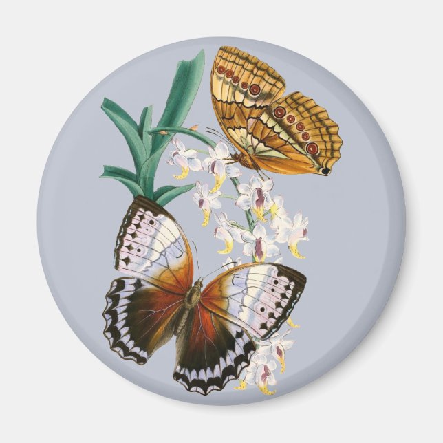 Beautiful Vintage Floral Butterfly Illustration Magnet (Front)