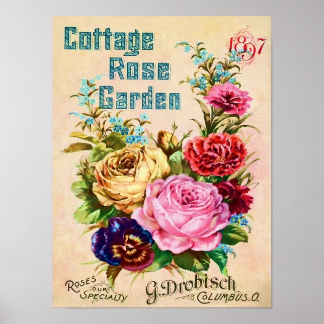 Beautiful Vintage Flower Catalog Advertisement Poster (Front)