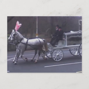 Beautiful Vintage Funeral Postcard