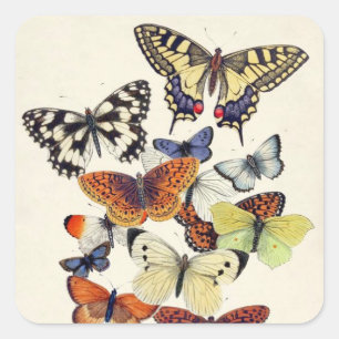 Beautiful vintage Garden Butterflies Square Sticker