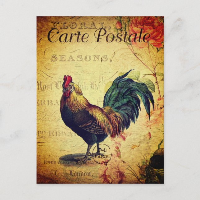 Beautiful Vintage Golden Rooster Postcard (Front)