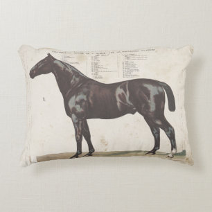 Beautiful vintage horse pillow
