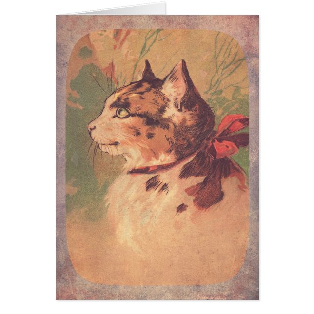 Beautiful Vintage Kitty (Front)