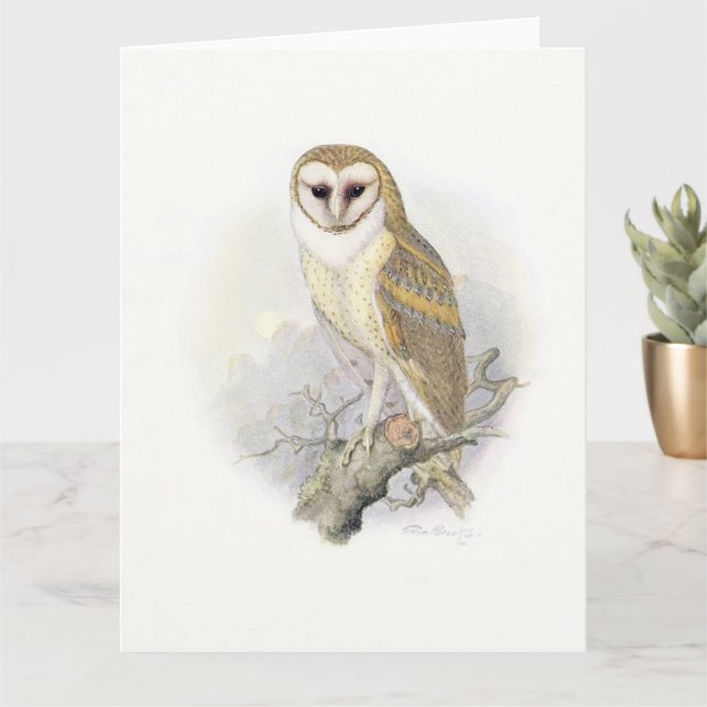 Beautiful Vintage Painting of a Barn Owl Card (Small Plant)