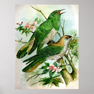 beautiful vintage poster painting  27