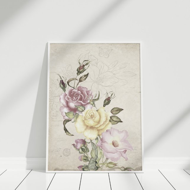 Beautiful vintage roses poster (Beautiful vintage roses poster in a white frame in a white room.)
