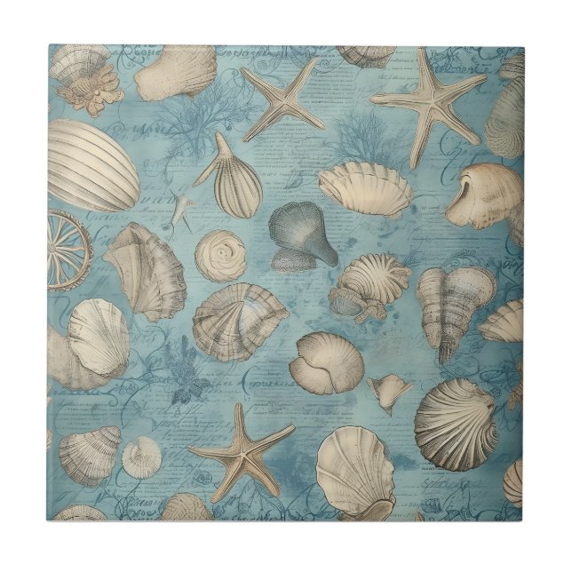 Beautiful Vintage Seashells In Blue Tile (Front)