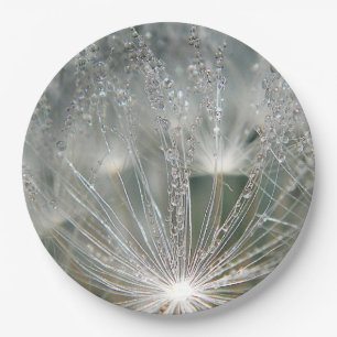 Beautiful water droplets paper plate