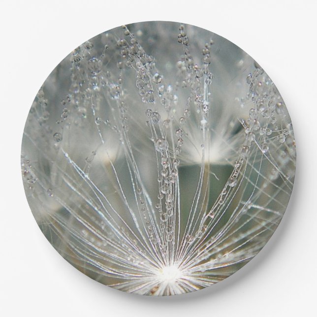 Beautiful water droplets paper plate (Front)