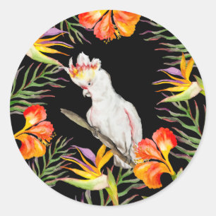 Beautiful watercolor cacatau parrot hand drawing Classic Round Sticker