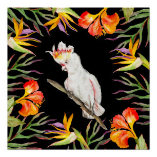 Beautiful watercolor cacatau parrot hand drawing Poster
