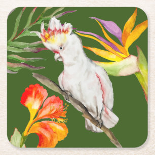 Beautiful watercolor cacatau parrot hand drawing Square Paper Coaster