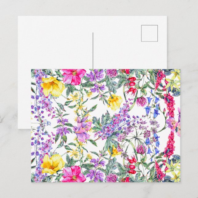 Beautiful Watercolor Colourful Wildflowers    Postcard (Front/Back)