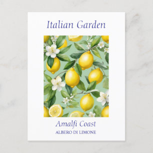 Beautiful Watercolor Lemon Tree Postcard