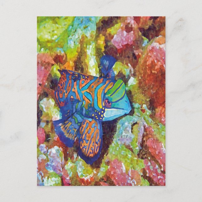Beautiful Watercolor Mandarinfish Design  Postcard (Front)