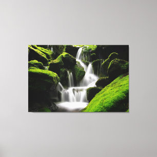 Beautiful Waterfall Moss Rocks Nature Photography Canvas Print