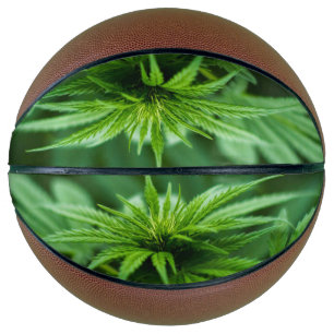 Beautiful Weed Basketball