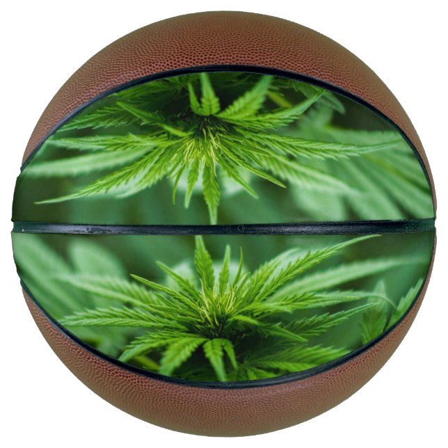 Beautiful Weed Basketball (Front)