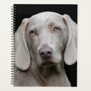 Beautiful Weimaraner Hunting Dog Planner