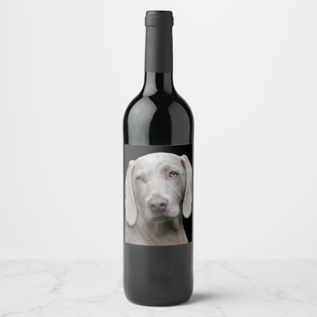 Beautiful Weimaraner Hunting Dog Wine Label (Front)