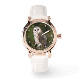 Beautiful Western Barn Owl Watch