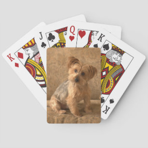 Beautiful Westie / Yorkie Dog to Melt Your Heart Playing Cards