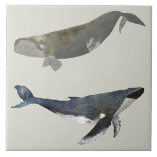 Beautiful Whales Ceramic Kitchen Tile