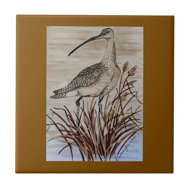 Beautiful Whimbrel Tile (Front)