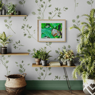 Beautiful White and Brown Butterfly Photo Print