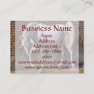Beautiful White Arabian Horse Business Cards