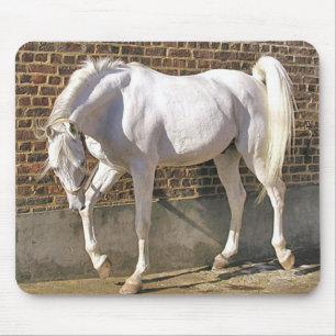 Beautiful White Arabian Horse Mouse Pad