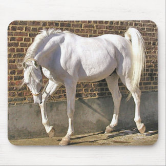 Beautiful White Arabian Horse Mouse Pad