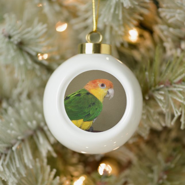 Beautiful White Bellied Caique Parrot Posing Ceramic Ball Christmas Ornament (Tree)