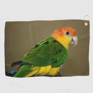 Beautiful White Bellied Caique Parrot Posing Golf Towel