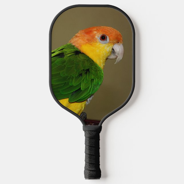 Beautiful White Bellied Caique Parrot Posing Pickleball Paddle (Front)