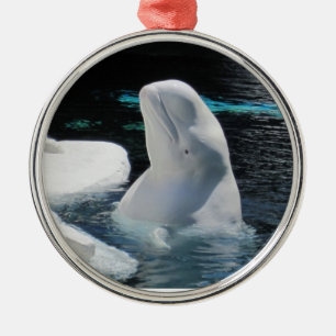 Beautiful White Beluga Whale Metal Tree Decoration