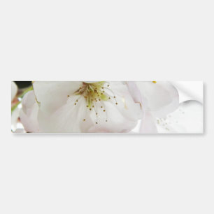 Beautiful White Bumper Sticker
