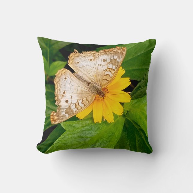 beautiful white butterfly moth yellow flower cushion (Front)