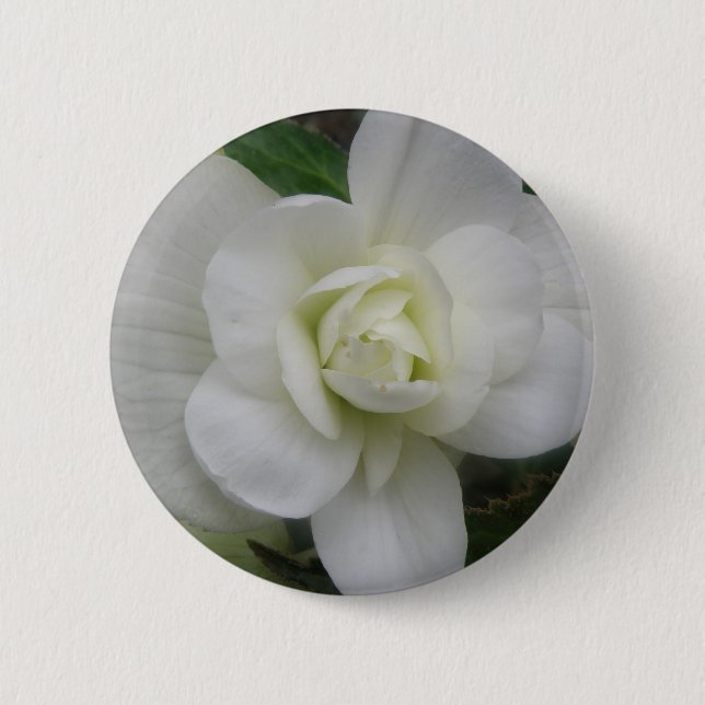Beautiful White Carnation Button (Front)