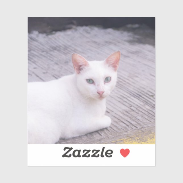 Beautiful White Cat (Sheet)