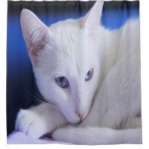 Beautiful White Cat/Add Your Pet's Photo