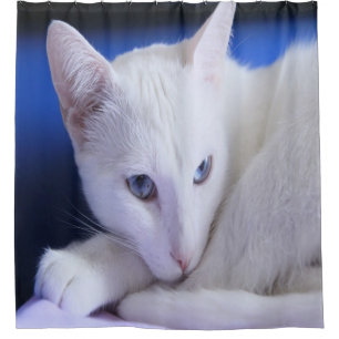 Beautiful White Cat/Add Your Pet's Photo Shower Curtain