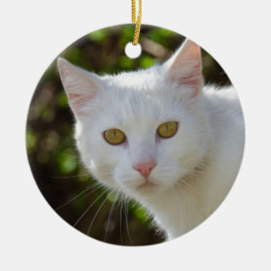 Beautiful White Cat Ceramic Tree Decoration