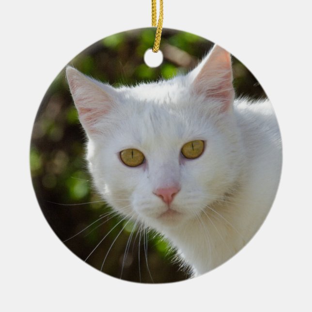 Beautiful White Cat Ceramic Tree Decoration (Front)