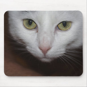 Beautiful White Cat Mouse Pad