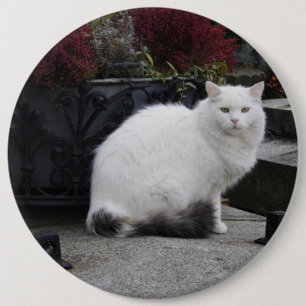 Beautiful White Cat On A Grave 6 Cm Round Badge