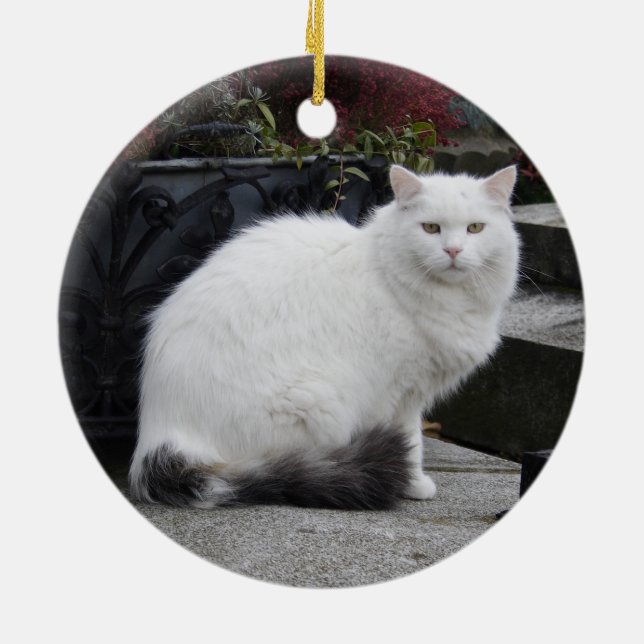 Beautiful White Cat On A Grave Ceramic Tree Decoration (Back)