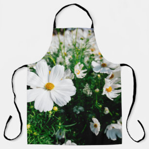 Beautiful white cosmos flowers blooming in gardena apron
