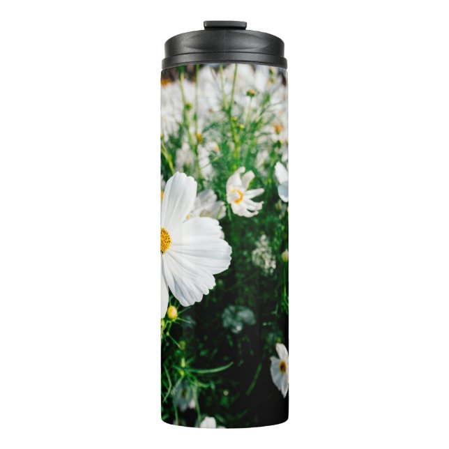 Beautiful white cosmos flowers blooming in gardena thermal tumbler (Front)