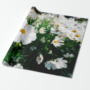 Beautiful white cosmos flowers blooming in gardena wrapping paper